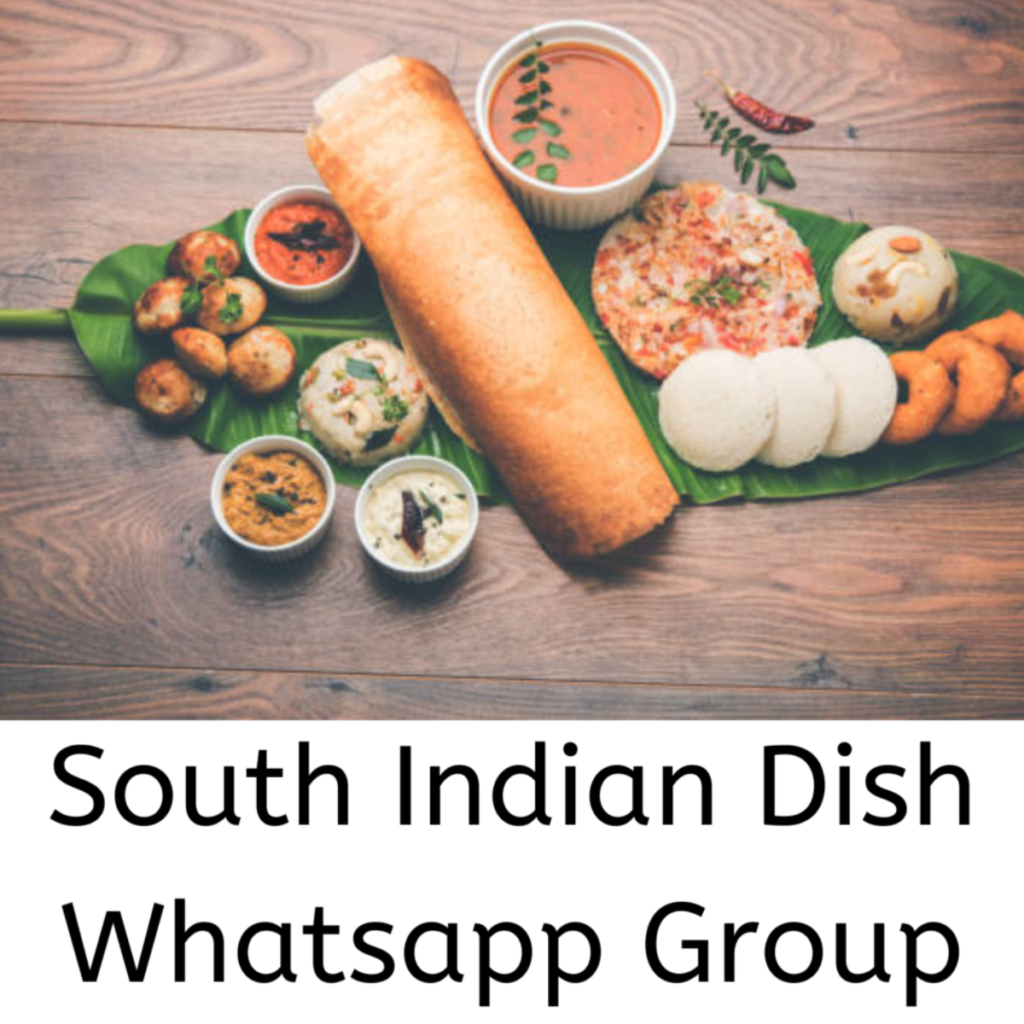 south indian dish